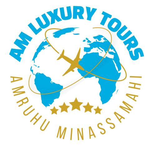 AM Luxury Tours logo